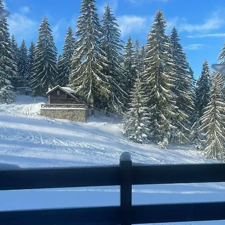 Vlasic Eko Fis 508 *